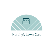 Find lawn & garden care pros in cape coral, fl. 10 Best Lawn Care Services In Tampa Fl Lawn Mowing From 19 99