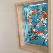 Aquarium paling unik yang ada di pasaran indonesia. 10 Inspirasi Desain Akuarium Buat Pencinta Ikan Hias Unik Unik
