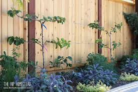 Got a party, wedding or special event coming up and need some instant beauty and color around the home? How To Create An Amazing Homestead Garden The Hip Homestead