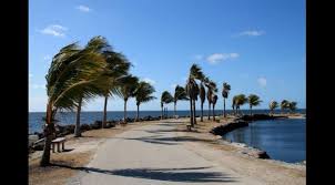 Jul 30, 2021 · matheson hammock park is a metropolitan and a heritage park recognized by the county for its historical significance as its first park. Matheson Hammock Park Beach South Florida Finds
