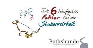 Es gibt verschiedene gründe hierfür, aber auch viele mit sicherheit ist es für jeden hundebesitzer ärgerlich, wenn der hund in die wohnung macht. Die 6 Haufigsten Fehler Bei Der Stubenreinheit Bothshunde