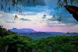 Sri lanka is now open to international travelers. Freiwilligenarbeit In Sri Lanka Projects Abroad
