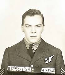 Donald Eugene Burrows