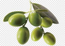Following green, olives turn shades of red, purple, and brown before black. Mediterranean Cuisine Greek Cuisine Kalamata Olive Hotel Villa San Giuseppe Olive Oil Green Olive Fruit Material Composition Food Olive Eating Png Pngwing
