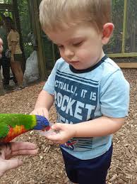 Is Parrot Mountain worth the cost for families?