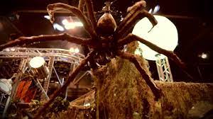 1,056 free images of cartoon kids Scare Achnid Giant Animated Scary Spider Youtube