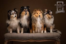 Fantastic range of wall art products. Studio Photography Kerto Studio