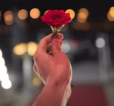 They are not just some kind of an appreciation gesture toward let her open her eyes the next morning and see a beautiful floral installation presented by you in front of her. Rose Day Gift Ideas For Girlfriend And Boyfriend Truly Madly