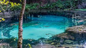 Maybe you would like to learn more about one of these? Pa S Hidden Oasis Big Spring Hand In Hand Adventures