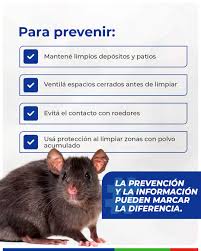 🦠 El hantavirus es una enfermedad que puede afectar seriamente la salud,  pero conocer cómo se transmite y cuáles son sus síntomas puede ayudarte a  actuar a tiempo.​ Mantener los espacios limpios,