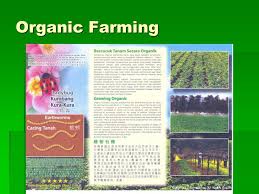 Analisis pendapatan bercocok tanam singkong i. Organic Lifestyle Seminar Welcome Everyone Deserves To Be Healthy And To Live Life To The Fullest Live Your Dreams Ppt Download