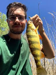 Last time I caught perch y'all told me it was great eating fish. Went back  to same spot and caught 3 in 30 minutes. Next time I come back I will keep