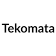 PT-Teknologi-Otomatis-Indonesia