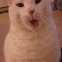 The Futurist by James P. Othmer