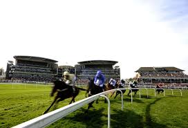 Our team of experts have been reviewing the aintree grand national horse race for over 20 years. Randox Grand National Hospitality Vip Packages Gala Hospitality