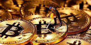 The survey saw participation from over 200 fund managers with over $650 billion in assets under management. Bitcoin Is Back Above 36 000 But Big Investors Are Wary Mark Cuban Says Crypto Is Exactly Like The Dot Com Bubble Of The 1990s Currency News Financial And Business News Markets Insider