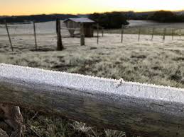 Ao longo da tarde as temperaturas sobem mas o frio segue predominando. Previsao Do Tempo Confira Onde Ainda Ha Risco De Geada Nesta Quinta Feira