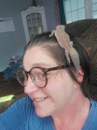 The perfect perch I feel so chosen