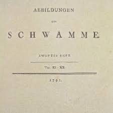 Movimente o slider horizontal para escolher a cor e de seguida clique no quadrado da cor à esquerda para ter o código de cor html da cor desejada. Pdf Mey E 2015 Botanisches Interesse Am Hofe Zu Rudolstadt Im 18 Jahrhundert Uber Anfange Systematischen Pflanzenkundlichen Wirkens Und Johann Ernst Heyders Prodromus Designationis Stirpium Schwarzburgensium Rudolstadter Naturhistorische