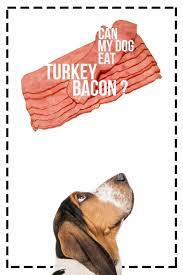 Can Dogs Eat Turkey Bacon The Happy Puppy Site Dog Training Near Me Can Dogs Eat Bacon Dog
