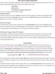 We did not find results for: Cellular Respiration Pdf Free Download