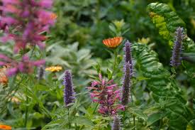 It is a new venture between principals claudia west, thomas rainer, & melissa rainer. Pacific Horticulture Society Gardening In A Post Wild World