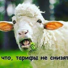 "Катастрофа Зеленского: Украину ждут досрочные выборы", - Романенко - Цензор.НЕТ 8475