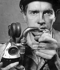 354 Miner Bird Stock Photos, High-Res Pictures, and Images