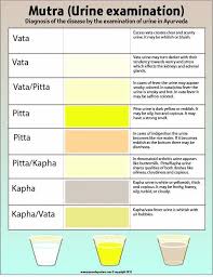Ayurvedic Urine Diagnosis Chart Ayurveda Ayurvedic Ayurvedic Treatment