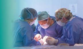 Keystone Veterinarian Fall 2022 by Hoffmann Publishing Group