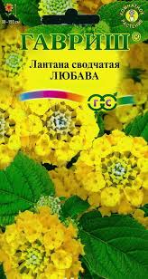 Image result for Lantana tiliifolia