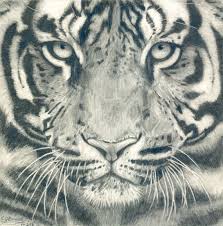 You'll learn how to draw a dog's eye, nose, and mouth. Tiger Face Black And White Realistic Pencil Drawing By Zarnaviart 10 00 Tiger Face Tiger Art Tiger Face Drawing