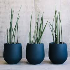Jitt Garden Pots Outdoor Pots Designer Pots The Balcony Garden Sydney Nsw Plant Pot Design Flower Pots Plants
