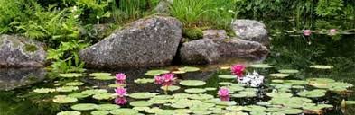 Check spelling or type a new query. Gardening Features From Crocus Co Uk How To Make A Garden Pond