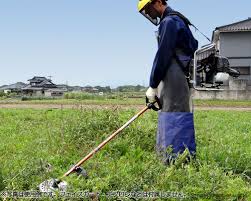 ãèåã ç¡æç´ æãã®ç»åæ¤ç´¢çµæ