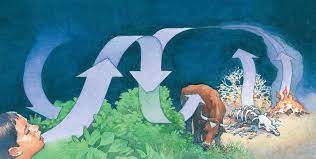 Life Cycles Life Cycles Carbon Cycle Kids Discover