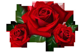 Red roses png clipart picture hd desktop wallpaper widescreen backgrounds for mobile tablet piglet tigger and winnie the pooh frames png hd desktop backgrounds free download 1920×1200. Png 1080p 2k 4k 5k Hd Wallpapers Free Download Wallpaper Flare