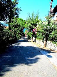 buyuk ada istanbul turkiye
