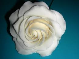 Ich verwende seit neustem ein rapsöl mit butternote und wollte wissen ob du mir sagen kannst wie sich das verhältnis in dem rezept ändern würde wenn ich es statt alsan. Anleitung Fur Eine Rose Aus Blutenpaste