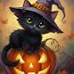 Black Cat & Glow Pumpkin event image