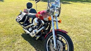 Image result for Bright Wineberry Sun Glo 1993 Motorcycle