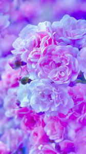 Freedownload this grate cute flowers wallpapers collection pics. Pin By Zoey Schmid On Floral Flower Aesthetic Purple Flowers Wallpaper Flower Wallpaper