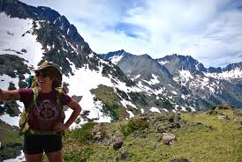 Image result for Ursinia montana