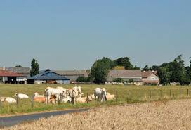 Bonjour, je loue une chambre prive dans un appartement meublé 2 pièces situé à côté de la. Elections De La Chambre D Agriculture Ile De France Ville De Malakoff