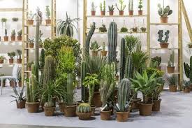 Are you looking for a fulltime job opportunity that does not require you to commute to the office?at cactus, you can join a team of highly skilled editors who are. Gardening Market Is Growing In Italy