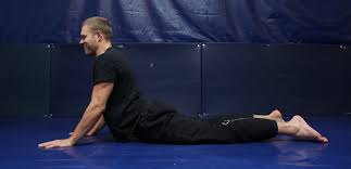 Why You Should Be Doing Yoga If You Train Jiu Jitsu Jui Jitsu Jiu Jitsu Japanese Jiu Jitsu