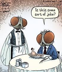 53 Shocking Illustrations Reveal How Animals Feel By Switching Them With Humans Bizarro Comic Funny Cartoons Comics