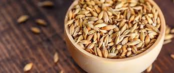 فوائد الشعير المذهلة: بعضها سوف يفاجئك - ويب طب