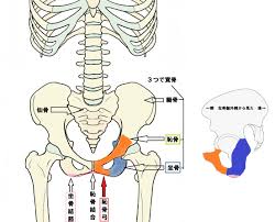 Y's Road ワイズロード