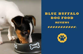 Blue buffalo makes dry and wet dog food for all sizes and ages of pups. Blue Buffalo Dog Food Reviews 2019 Best Dog Food Brand Yet